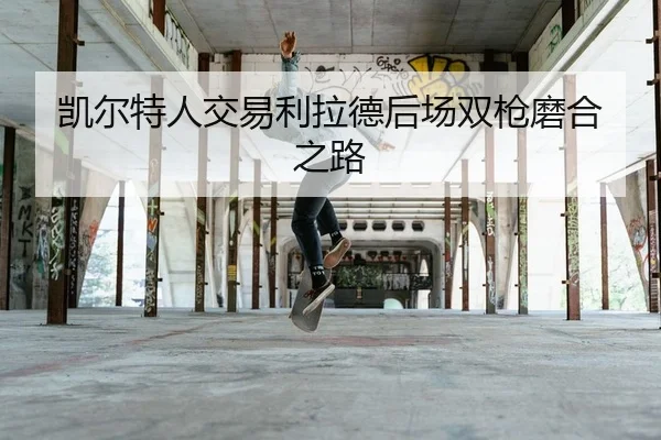 凯尔特人交易利拉德后场双枪磨合之路