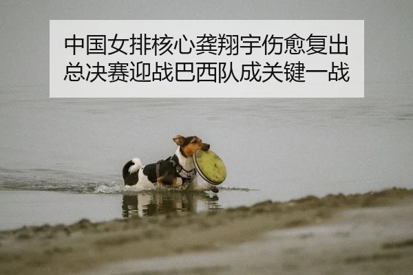 中国女排核心龚翔宇伤愈复出 总决赛迎战巴西队成关键一战